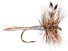 A picture of the Adams Fly