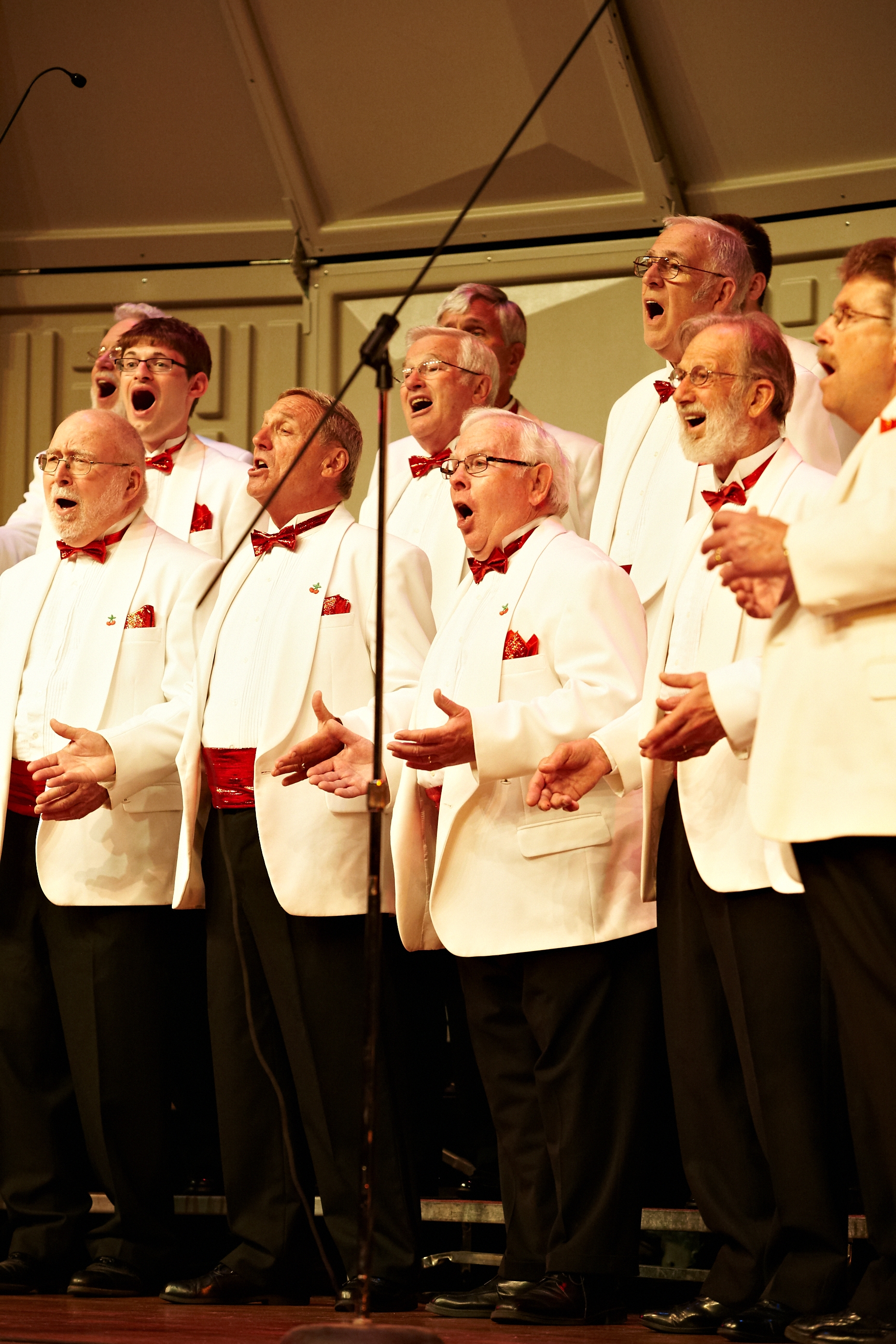 Photo of the Cherry Capital Men's Chorus