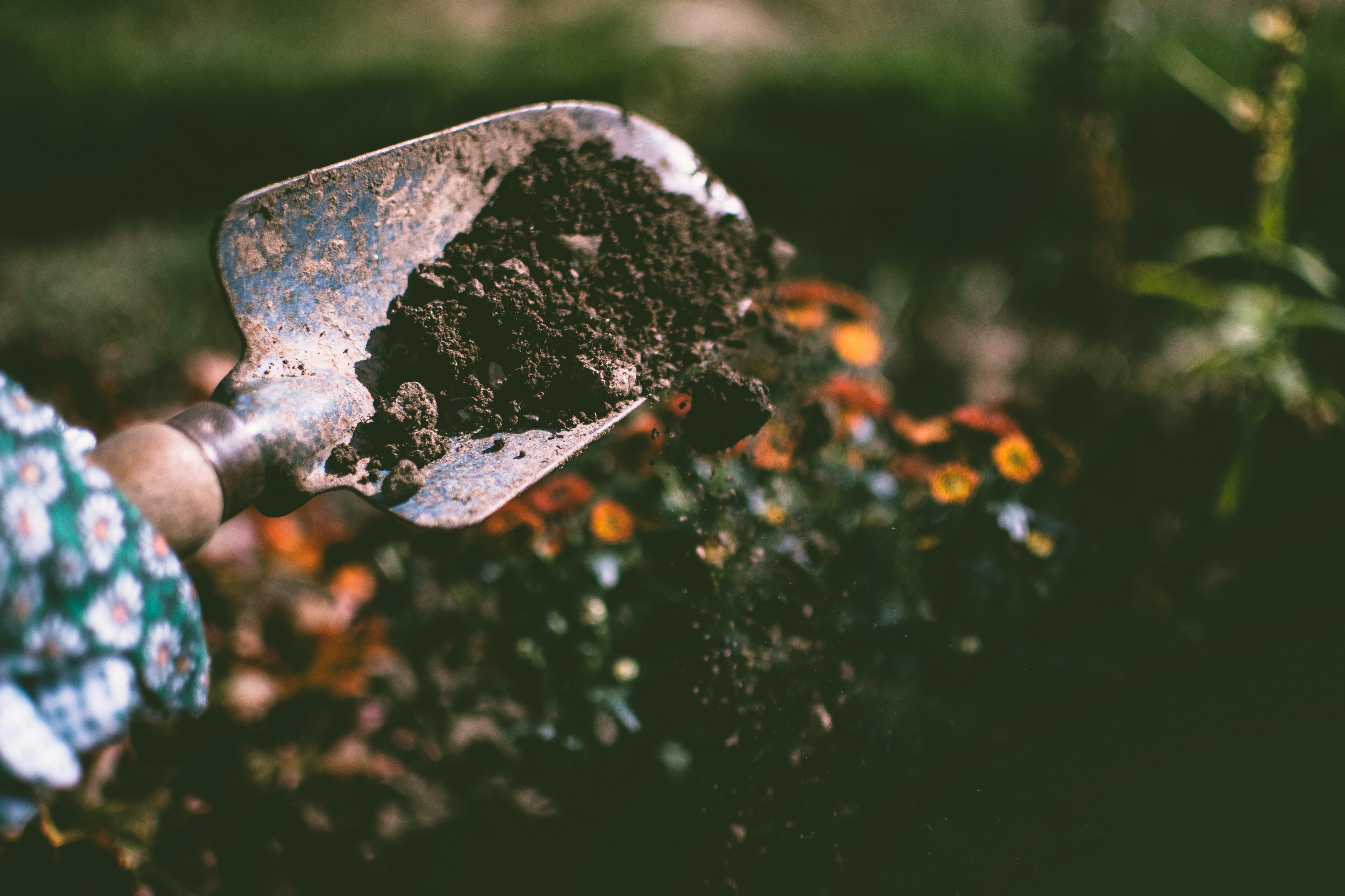 Picture of a dirt on a spade.