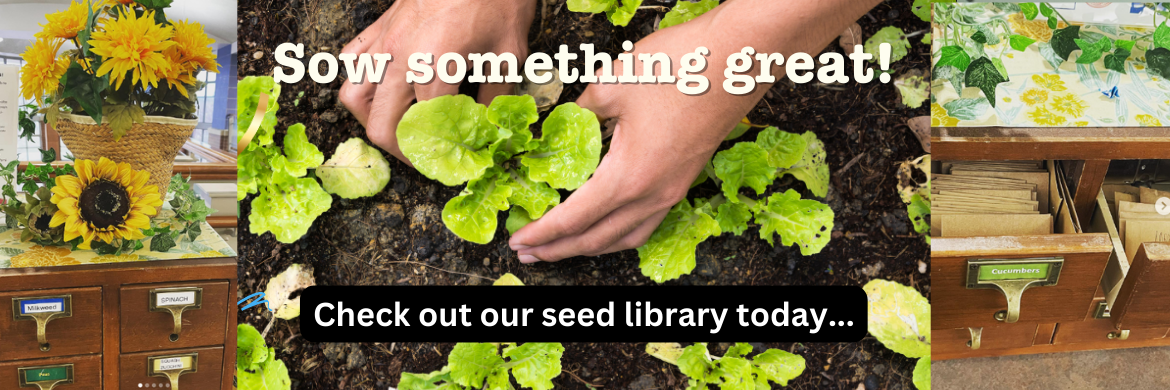 Seed library card catalog, lettuce seedlings with sow something great! check out our seed library today