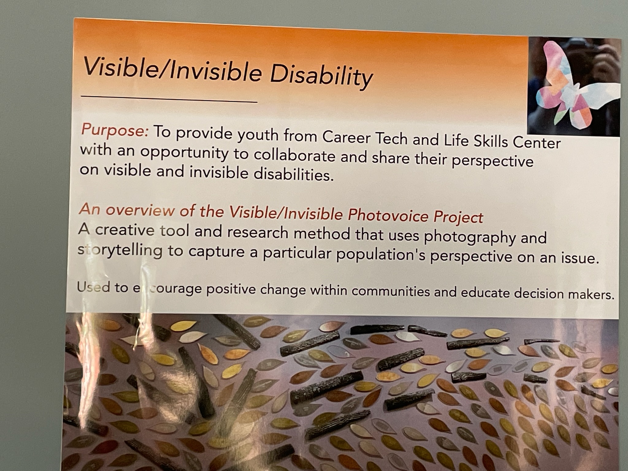 Visible/Invisible Disability Photovoice Display 