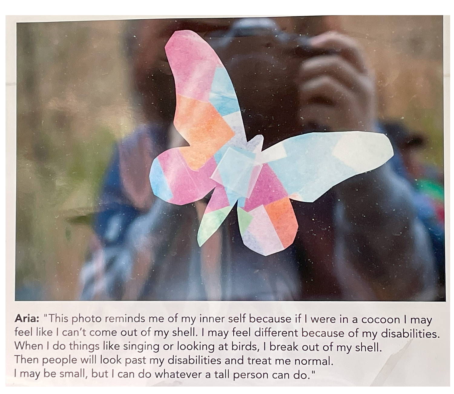Collage butterfly with shadow of photographer in the background