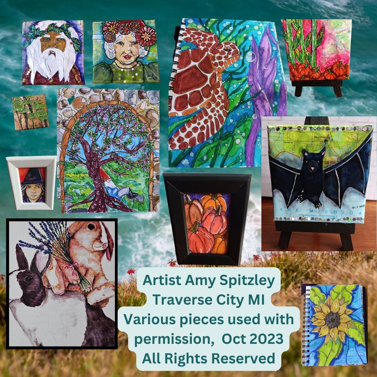 Various paintings and drawings by Amy Spitzley on a beach background. 