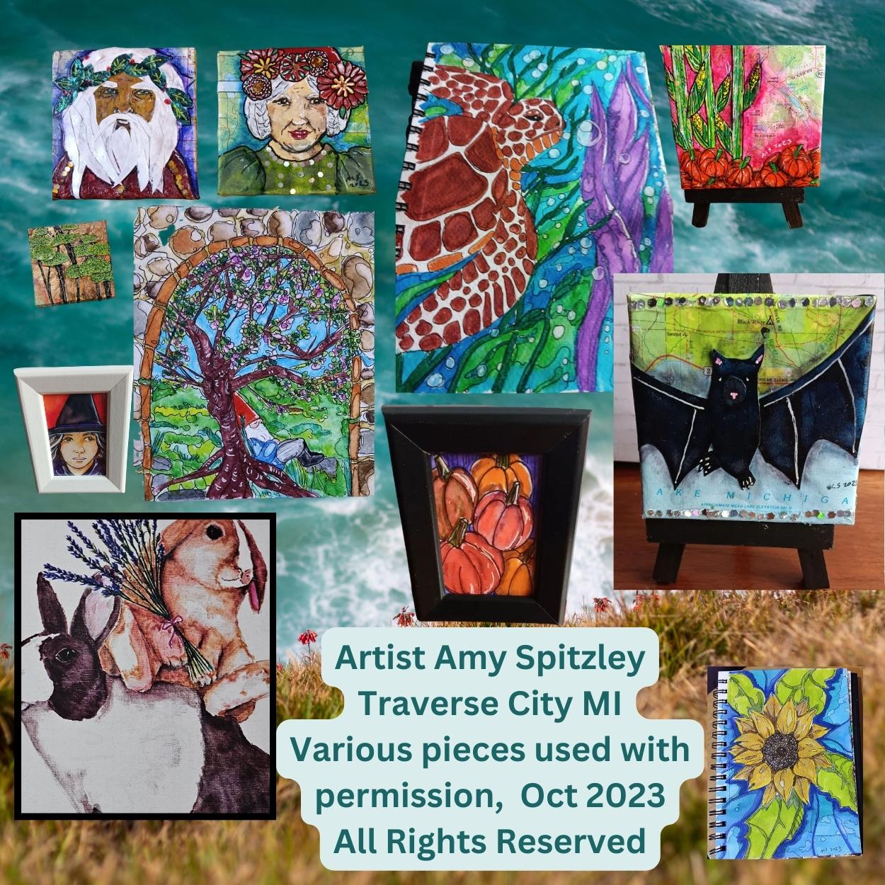 Various paintings and drawings by Amy Spitzley on a beach background.
