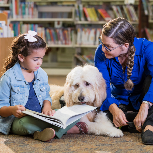Photo depicts child reading to a white service dog and dog handler