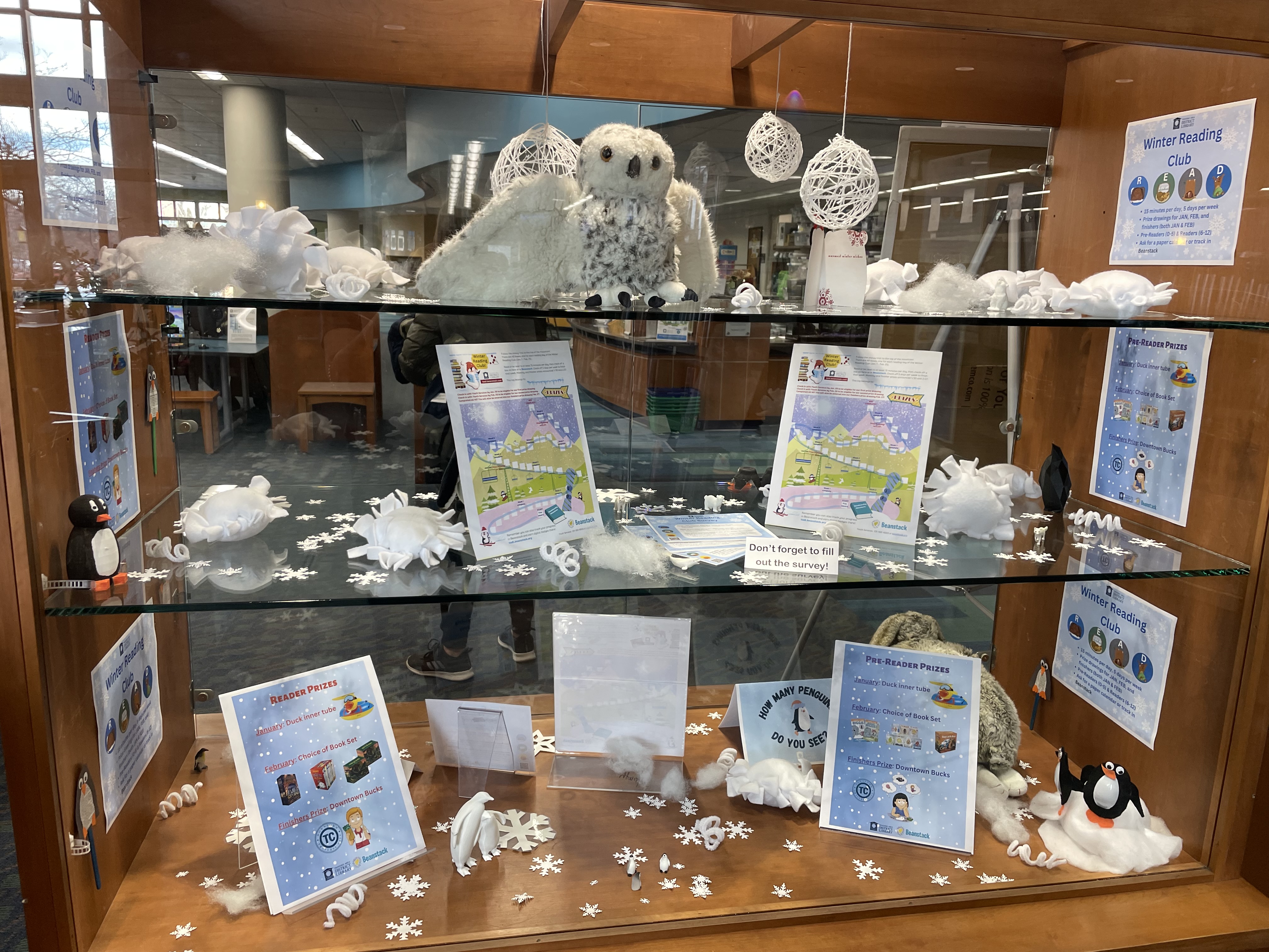 Display promoting winter reading club with a stuffed snow owl