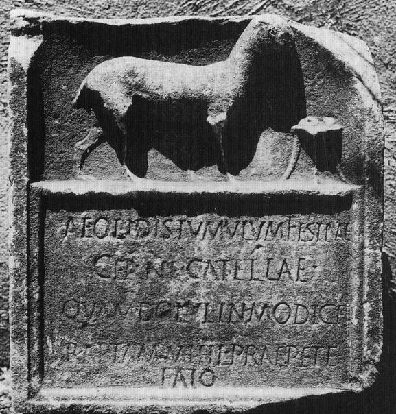 grave of dog with latin text