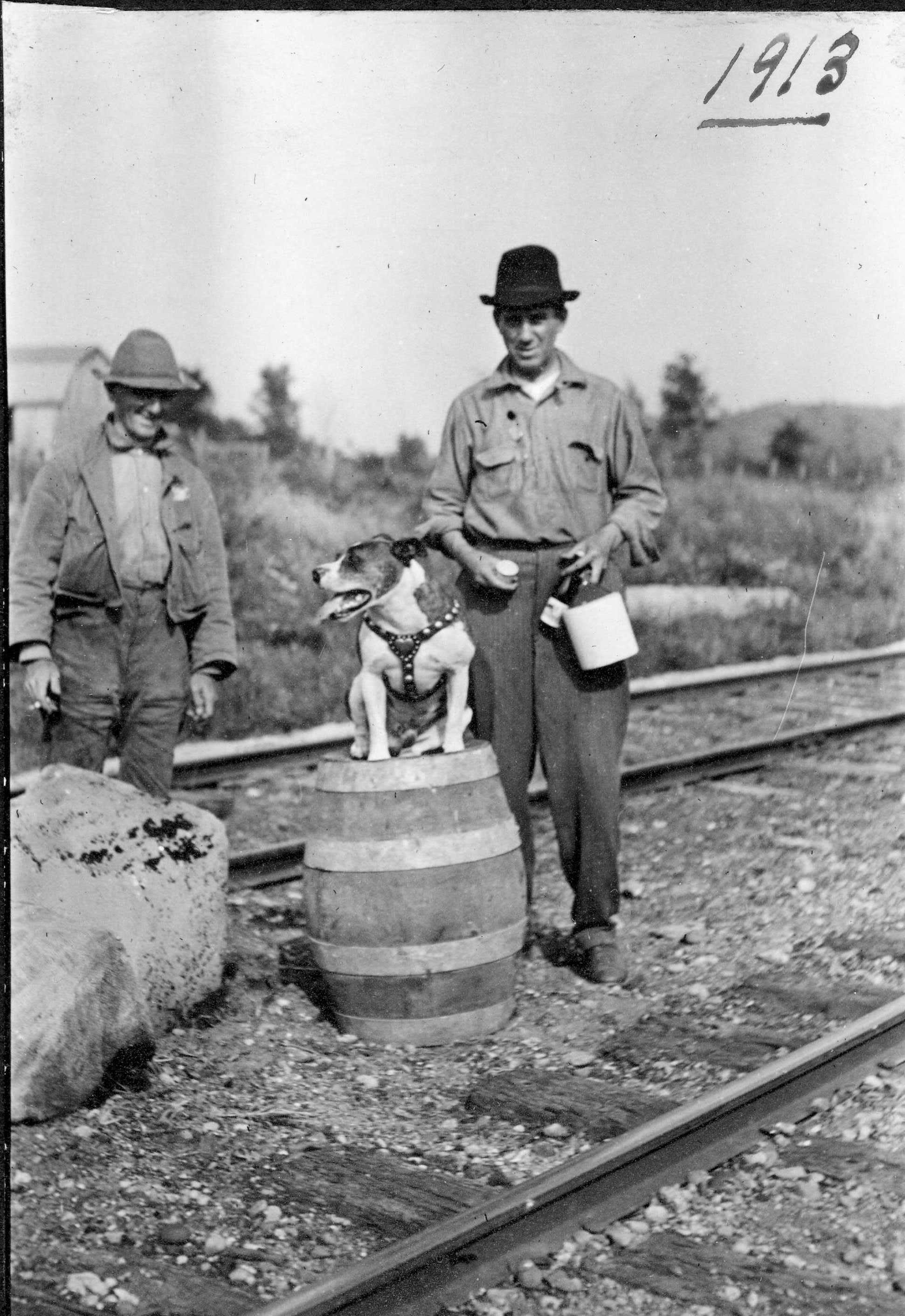 Dog on barrel