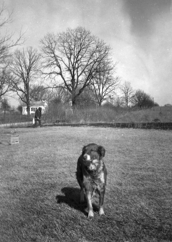 Peggy and Athan photograph