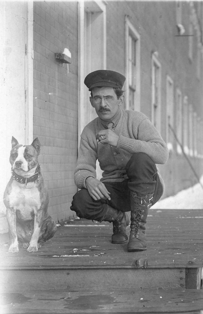 dog and person