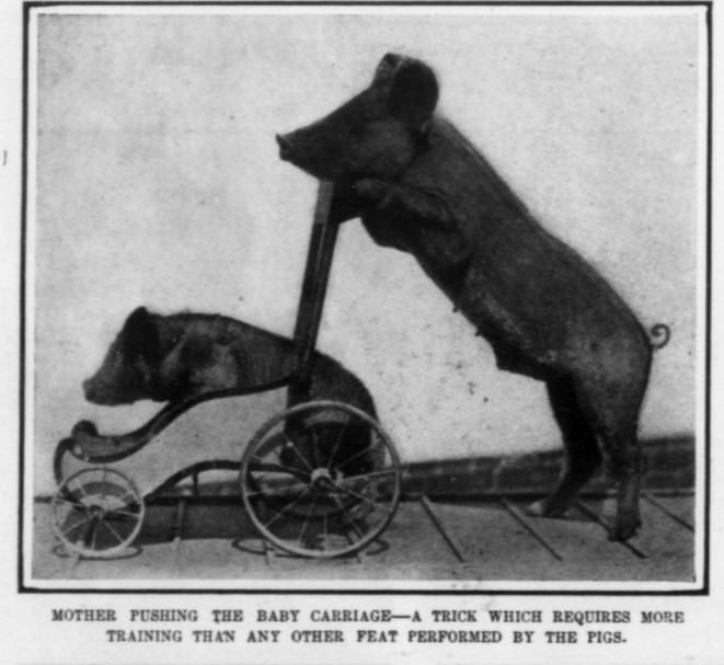 clipping from a magazine with photograph