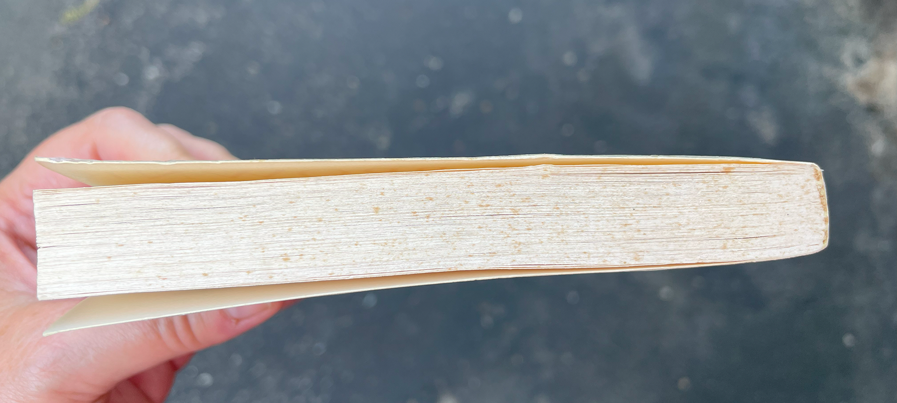 Book showing light brown spots along page edges