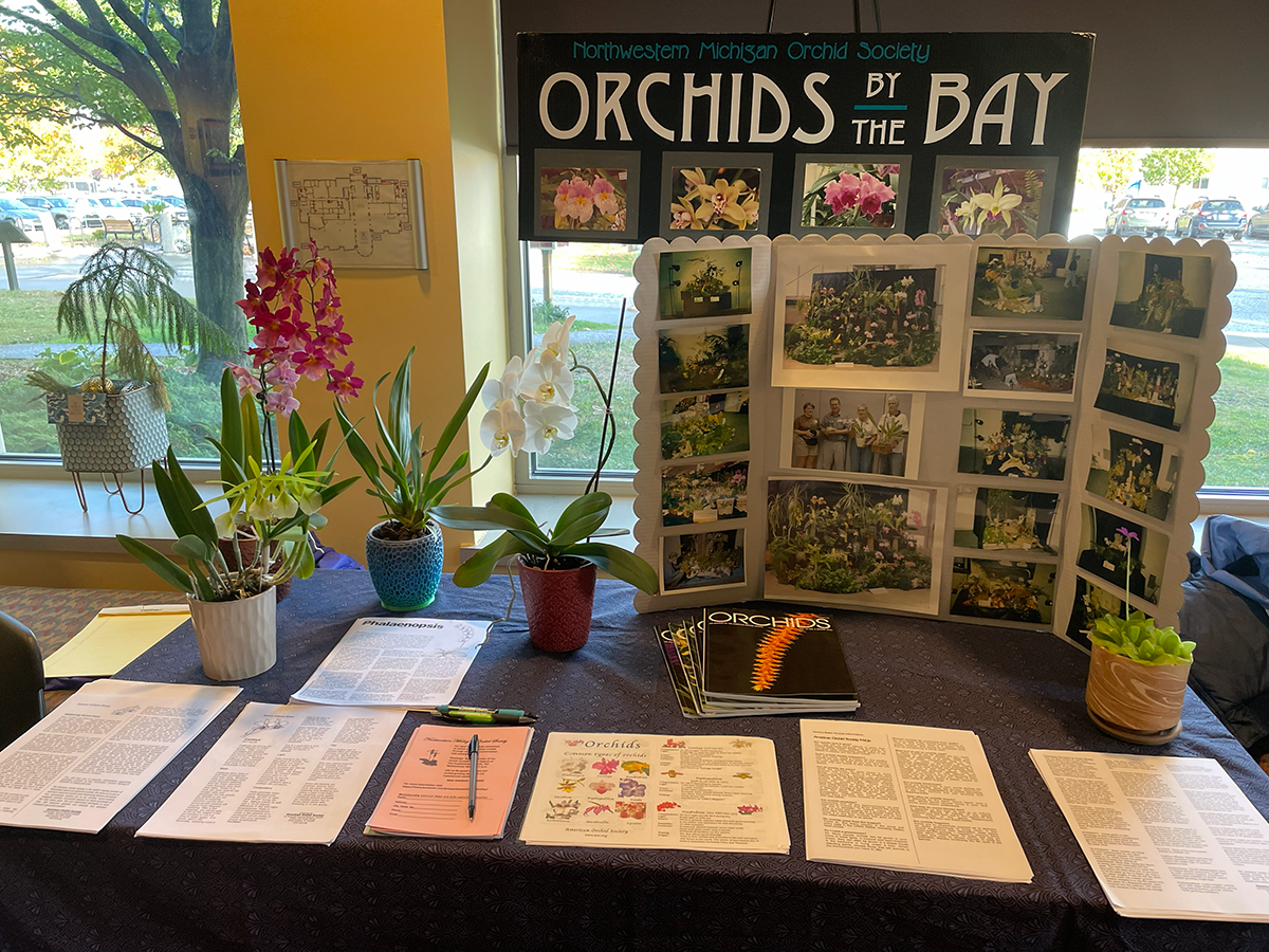 table with display of orchids and photos