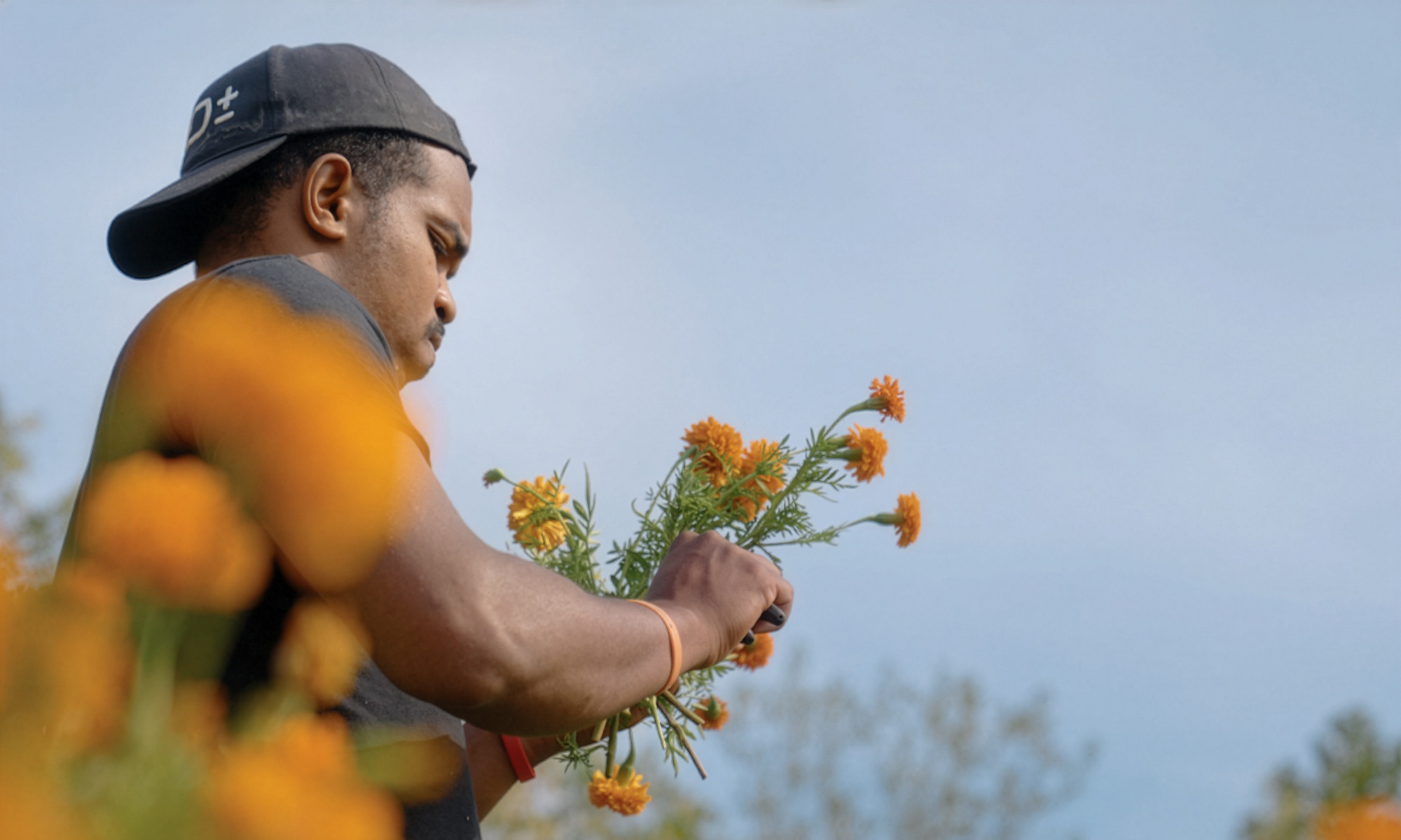 photograph of a man in a field holding a bunch of yellow flowers in his left hand