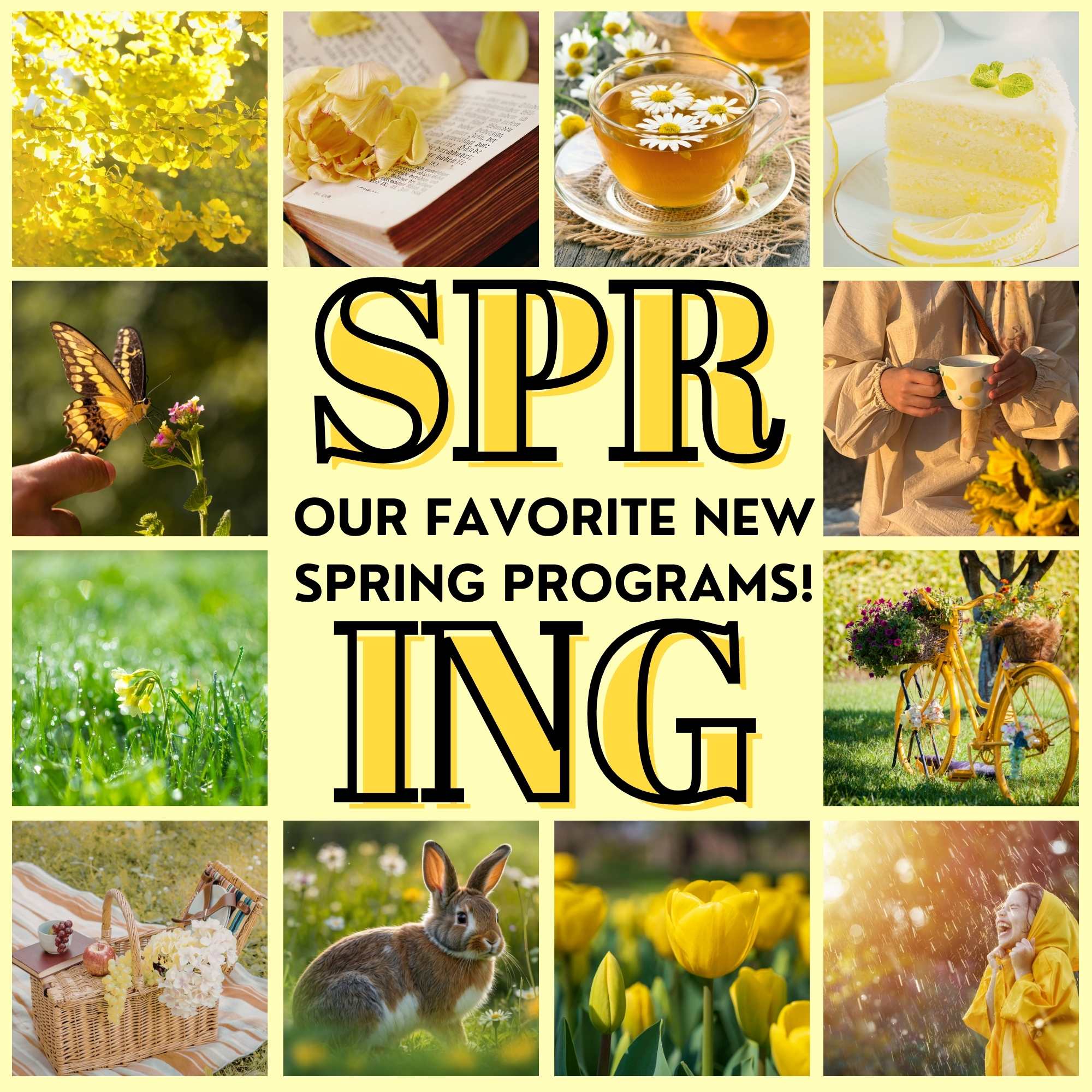 Image titled Spring. A subtitle reads: Our favorite new Spring programs! The image is in light yellows, with 12 springtime images of flowers, animals, and more bordering the text.