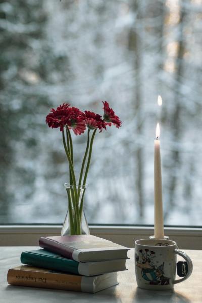 in front of a window next to a snowy forest, there are flowers in a vase, a lit candle, a stack of books, and a mug