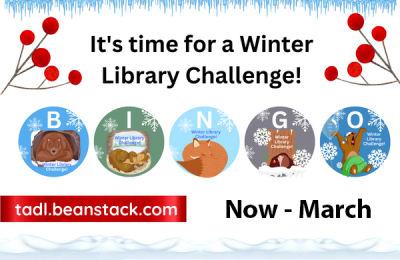 Winter Library Challenge Bingo for Adults image.
