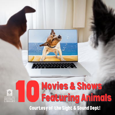 Two dogs watching a show about a dog on a laptop