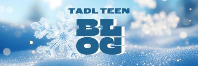 Header with a blue snowflake resting on the snow. Blue text reads: TADL Teen Blog.