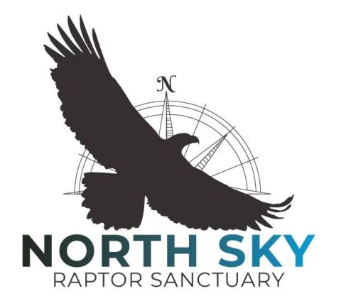 Silhouette of a bird flying over a compass