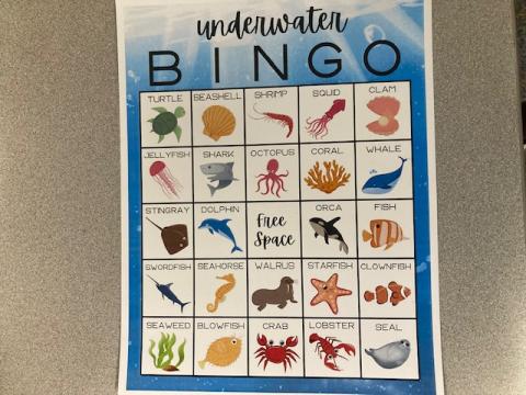 Ocean Bingo