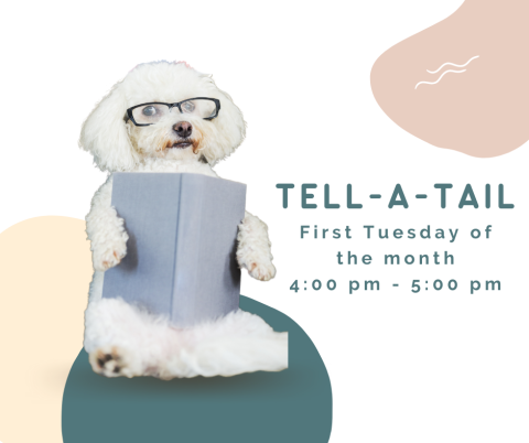 Little dog wearing glasses while sitting up and reading a book.