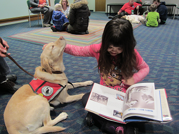 reading dog