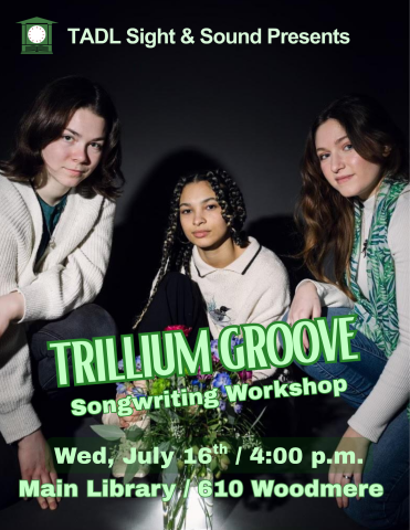 Picture of the musical group Trillium Groove