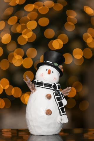 Photo of a snowman