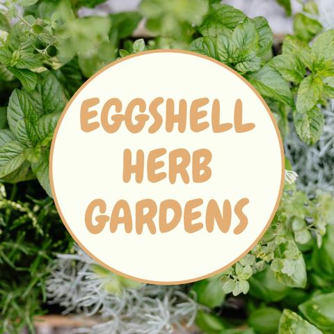 Image reading: Eggshell Herb Gardens. The text is centered in a white circle with green herbs in the background.