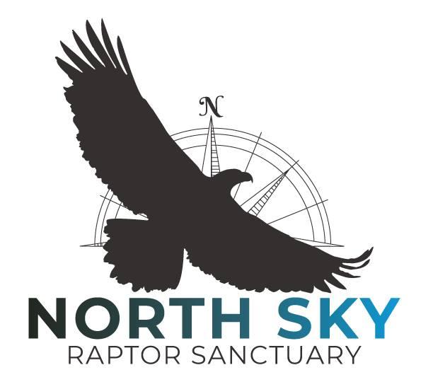 Silhouette of a bird flying over a compass