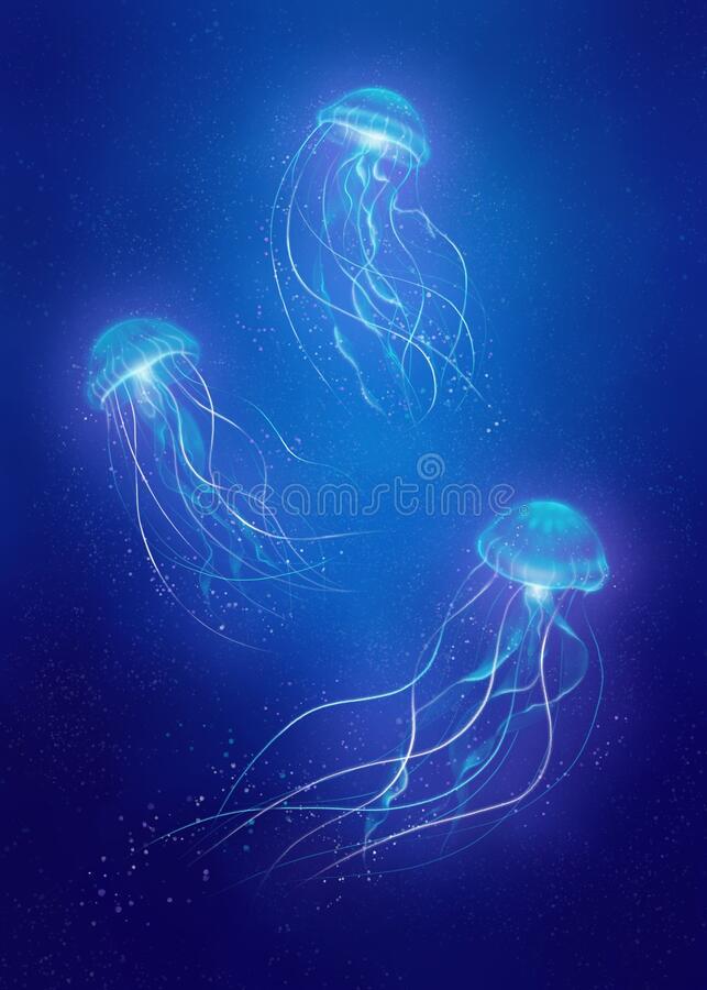 jellyfish