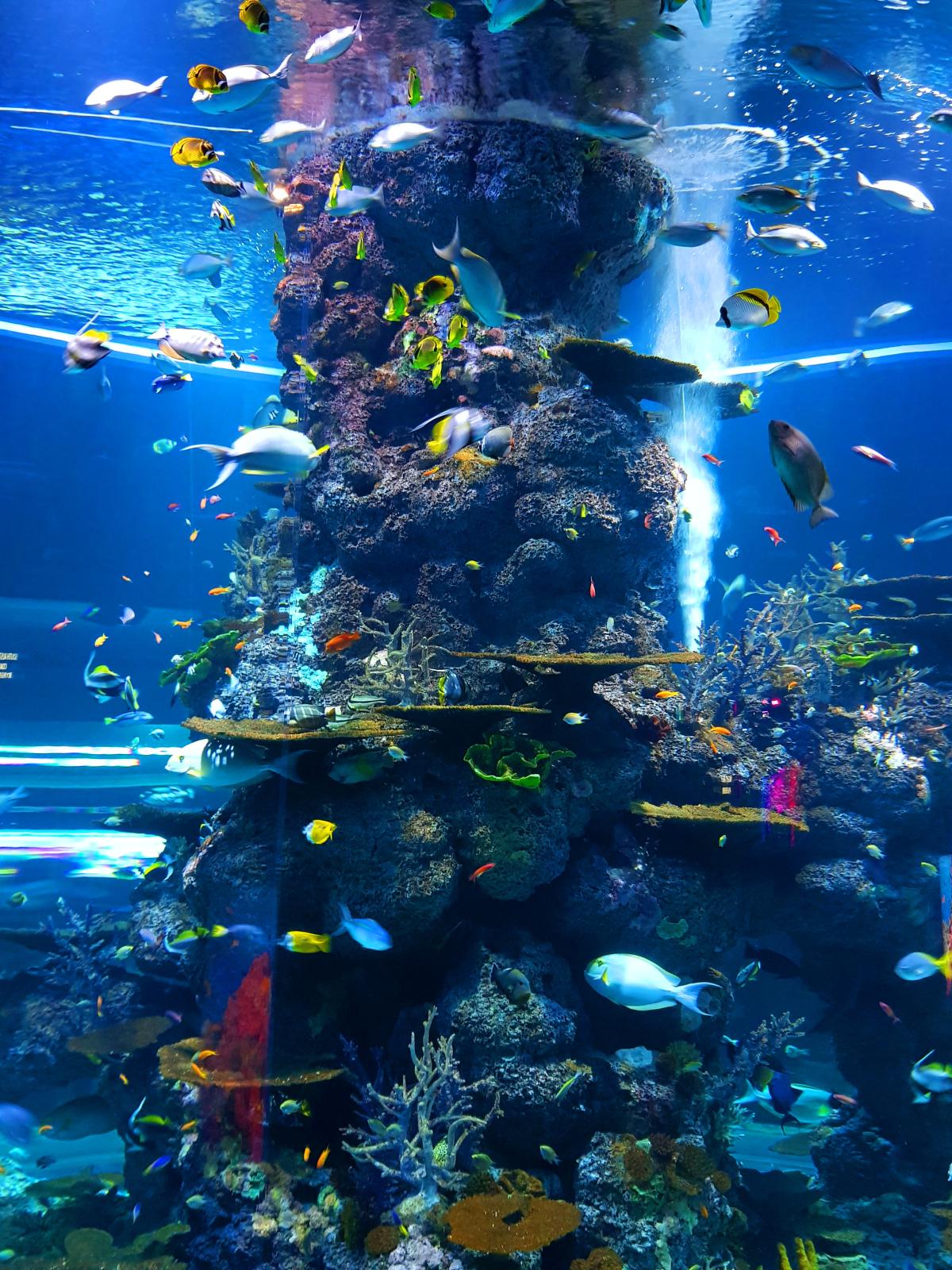 underwater