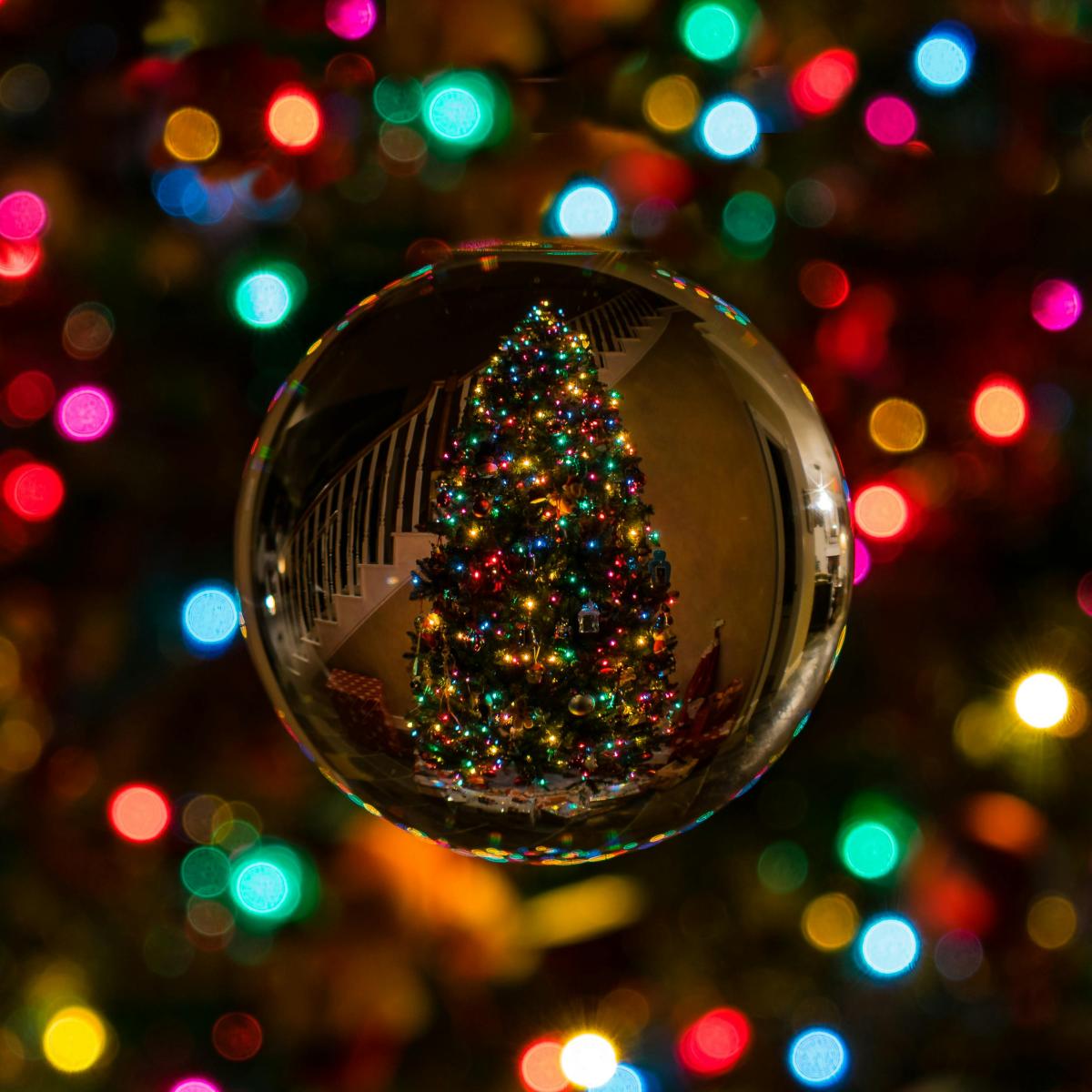 Photo of a reflection of a christmas tree in a clear bulb