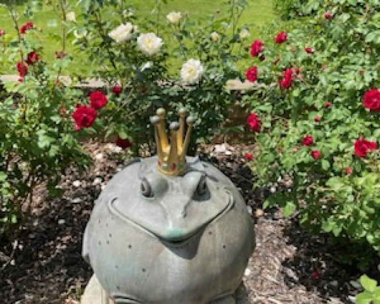 The Frog Prince behind the library in the rose garden.
