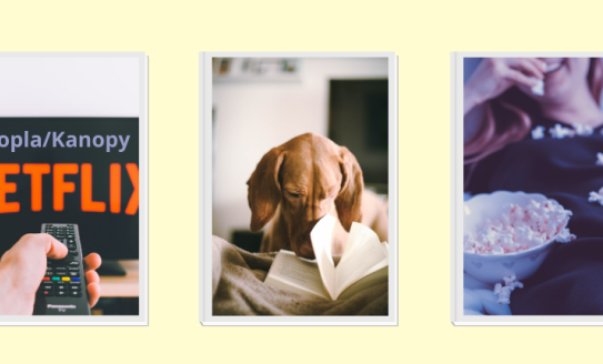 Pictures of a TV, dog reading a book and popcorn.