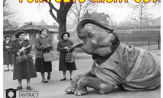 Flyer for PNO 2024 call for poetry - features a picture of a circus elephant being observed by 3 women with the phrase "Don't be the elephant in the room. Submit your poetry for Poets' Night Out."