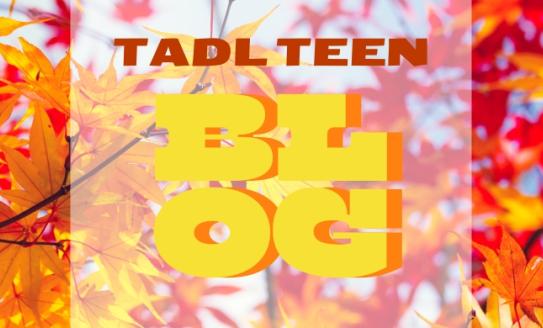 Header on a picture of colorful red fall leaves on a branch against a blue sky. Text on the header reads: TADL Teen Blog. 