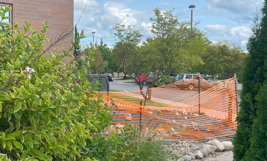 Woodmere stormwater garden location