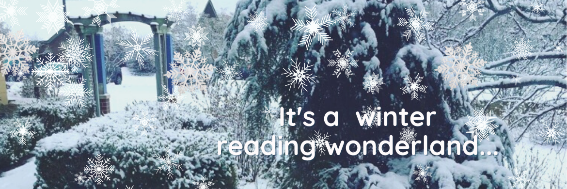 Snowy pine in the walkthrough garden - It's a winter reading wonderland...